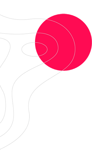 실전이 되는 영어교육,<br>러닝블라썸